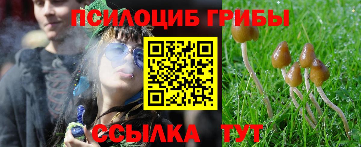 Галлюциногенные грибы ЛСД Полевской