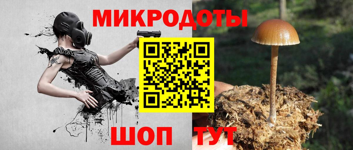 Псилоцибиновые грибы прущие грибы  Вход с VPN  Полевской  Галлюциногенные грибы Cubensis 